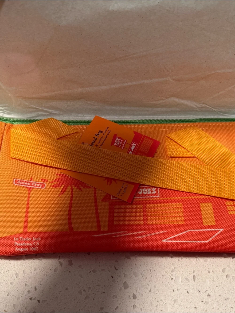 Trader Joe's Insulated Bag
